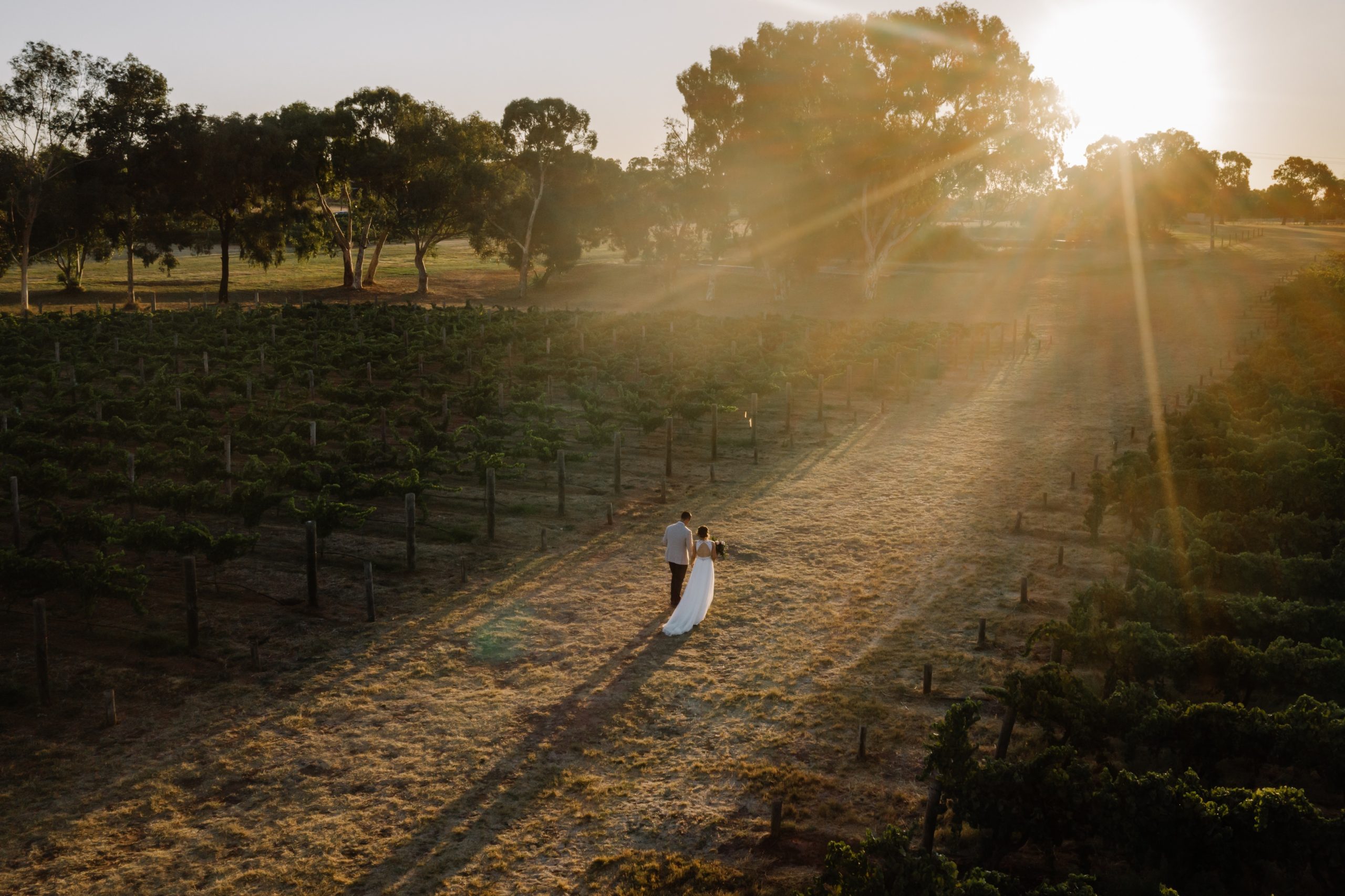 Sandalford wedding – Edwina & Mitch